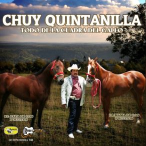 Download track La Mama De Los Pollitos Chuy Quintanilla