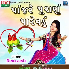 Download track Panjare Puranu Parevadu Shital Thakor