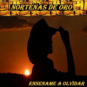 Download track Sin Temor A Equivocarme Nortenas De Oro