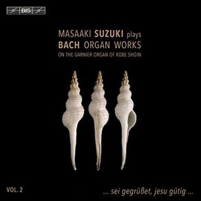 Download track 7. Chorale Partita On Sei Gegrüßet Jesu Gütig BWV 768 - Chorale Johann Sebastian Bach