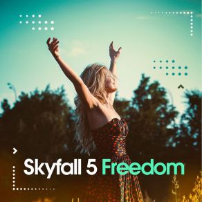 Download track Freedom (Deep Club Mix) Skyfall 5