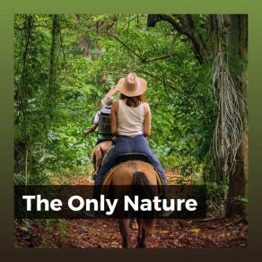 Download track 30 Beautiful Nature Sounds, Pt. 13 Nature Soundscapes
