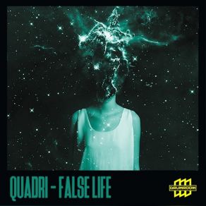 Download track False Life Waqas Ali Qadri