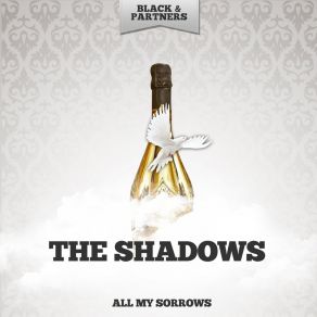 Download track Find Me A Golden Street The Shadows