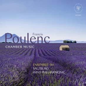 Download track Poulenc: Sonata For Two Clarinets, FP 7: II. Andante Salzburg Wind Philharmonic