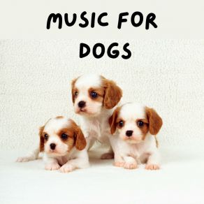 Download track Deep Sleep For Dogs Music For Dogs