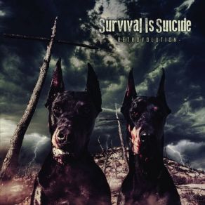 Download track Beauty Of A Stoned Machine Survival Is Suicide