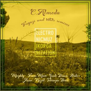 Download track Fugazi (Michael Hunter Remix) C. AlmedaMichael Hunter