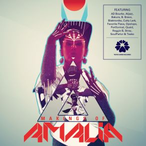 Download track All The Funk I Need (Stray Remix) Amalia