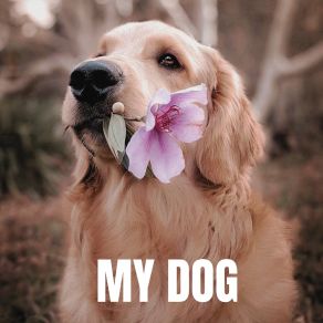 Download track Food For My Dog The Peaceful Garden