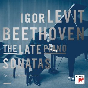 Download track Piano Sonata No. 29 In B-Flat Major, Op. 106 - I. Allegro Ludwig Van Beethoven, Igor Levit