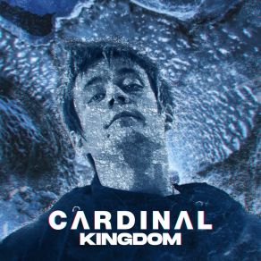 Download track Kingdom Of The Chill Cardinal