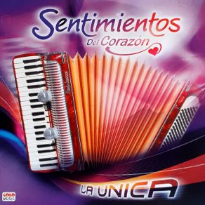 Download track Sueño Perfecto Sentimientos Del Corazón