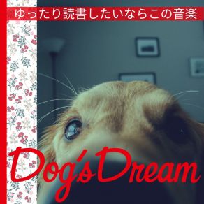 Download track A Reader's Serene Journey Dog’s Dream