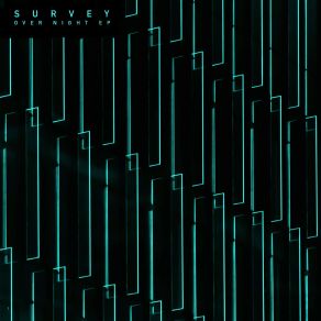 Download track Plastic Velvet (Amoss Remix) Survey