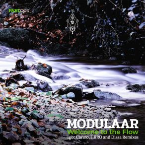 Download track Welcome To The Flow (Dissa Dub Mix) Modulaar