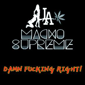 Download track Damn Fucking Right Macho Supreme