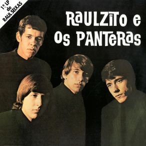 Download track Um Minuto Mais (I Will) Raulzito E Os Panteras