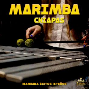 Download track Marimba Quetzal 5 Marimba ChiapasMarimba