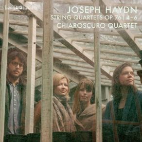 Download track 6. String Quartet In D Major Op. 76 No. 5 - II. Largo. Cantabile E Mesto Joseph Haydn