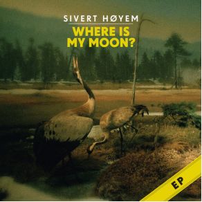 Download track The Cool Song Sivert HøyemThe Hyler Twins