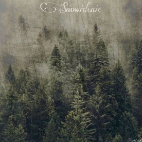 Download track Russian Dream Snowidenie