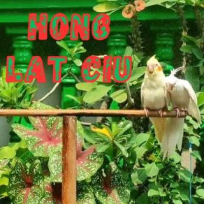 Download track KUTUNGGU PULANGMU HONG LAT CIU