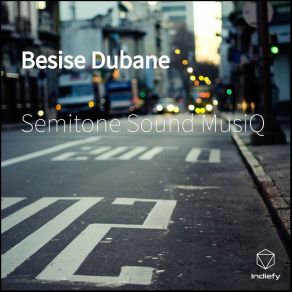 Download track Besise Dubane Semitone Sound MusiQ