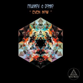 Download track High On House (Frankov Raw Edit) Dohko