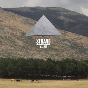 Download track You Need A Friend (Cauto Refrit) The Strand