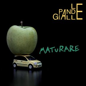 Download track Vorrei Essere Le Pande Gialle