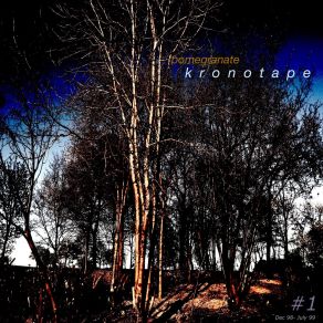 Download track Nobodinos Pomegranate