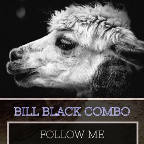 Download track Dee J Special Bill Black's Combo