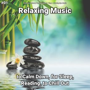 Download track Relaxing Music, Pt. 50 Relaxing Spa Music