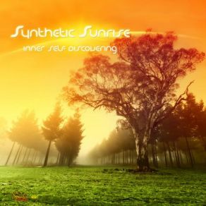 Download track Way To The New Future Synthetic Sunrise