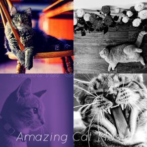 Download track Understated Music For Resting Kittens Amazing Cat Music