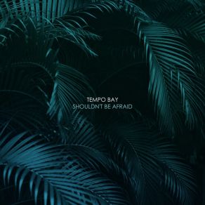 Download track Hands Tempo Bay