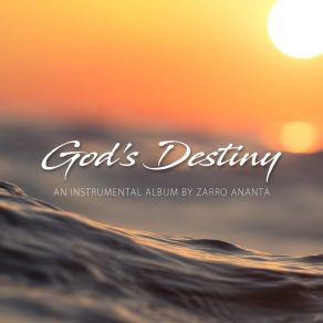 Download track The Mysterious Liquefaction Zarro Ananta