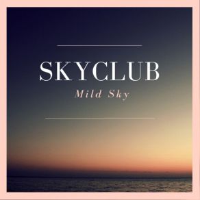 Download track Analog Memory Skyclub