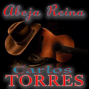 Download track Perdidamente Enamorado CARLOS TORRES