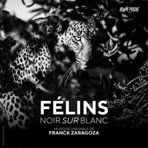 Download track Sens Frank Zaragoza