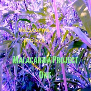 Download track Malacarma (Original) Malacarma Project