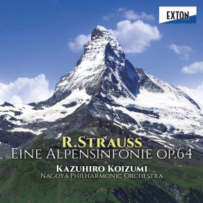 Download track Eine Alpensinfonie Op. 64 10 Durch Dickicht Und Gestrupp Auf Irrwegen Kazuhiro Koizumi, Nagoya Philharmonic Orchestra