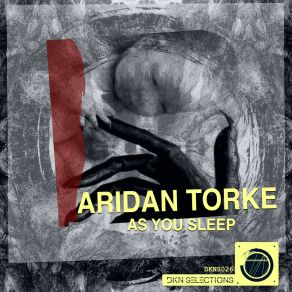 Download track Just Like Nobody Aridan Torke