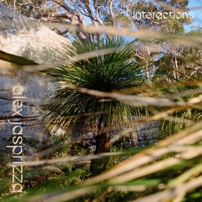 Download track Dawn, Lorikeets, Kookaburras Alex Jasprizza