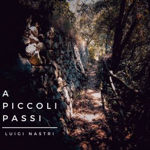 Download track Notre Dame Luigi Nastri