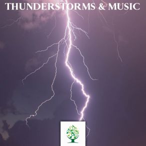 Download track Background Rain Fx Sound