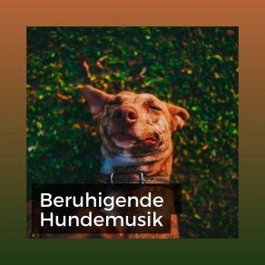 Download track Beruhigendes Ambiente Für Hunde Beruhigende Musik Für Hunde