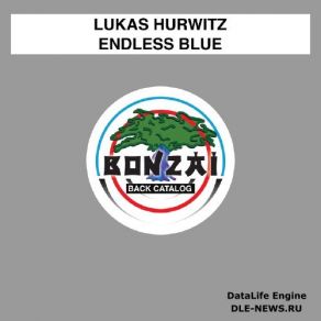 Download track Endless Blue (Original Mix) Lukas Hurwitz