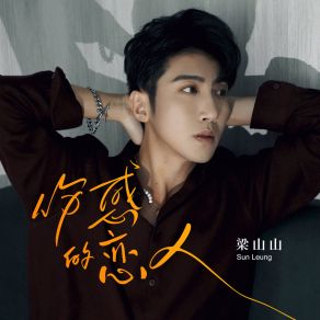 Download track 伤感的恋人 (伴奏版) Liang Shan Shan